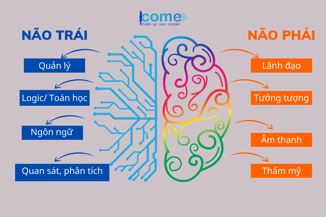 não trái - não phải