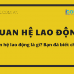 QUAN HỆ LAO ĐỘNG LÀ GÌ?